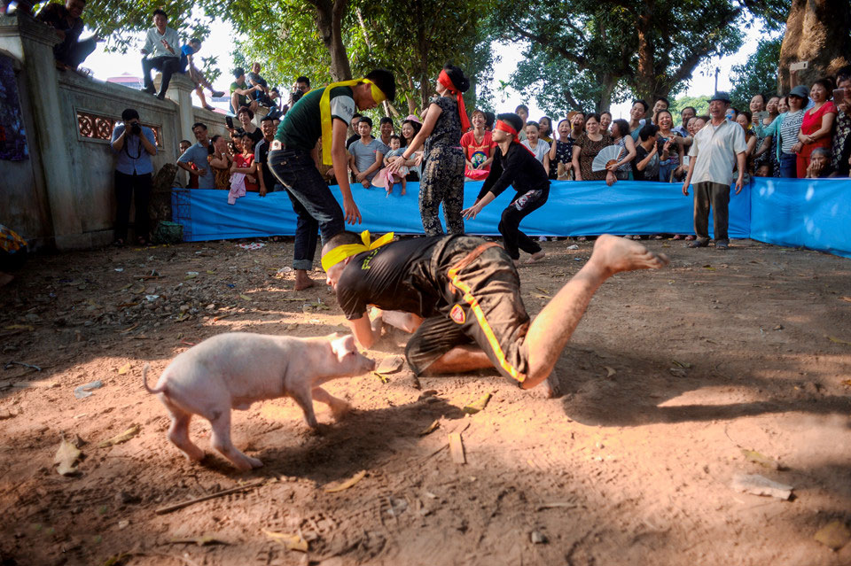 Thi nấu cơm, bắt lợn vui nhộn giữa thủ đô